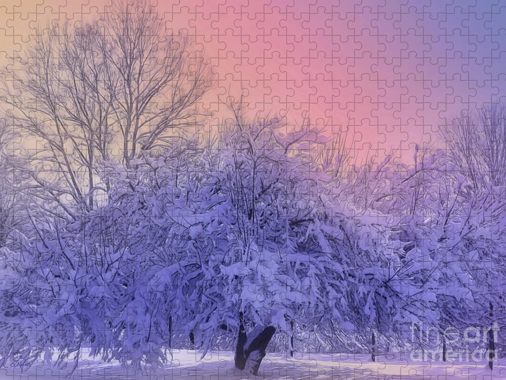 Fine Art Jigsaw Puzzle featuring the photograph Snow Covered Trees by Rosanna Life