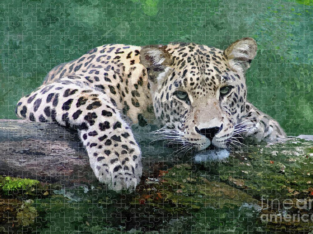 Snow Leopard Jigsaw Puzzle featuring the digital art Snow Leopard by Denise Dundon