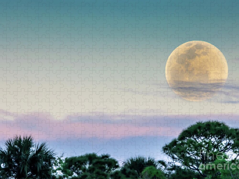 Moon Jigsaw Puzzle featuring the photograph Snow Moon by Tom Claud