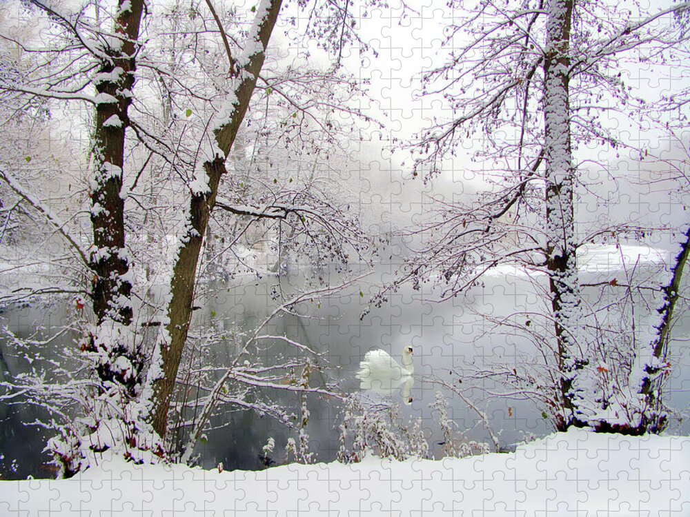 Winter Jigsaw Puzzle featuring the photograph Snow Swan by Jessica Jenney