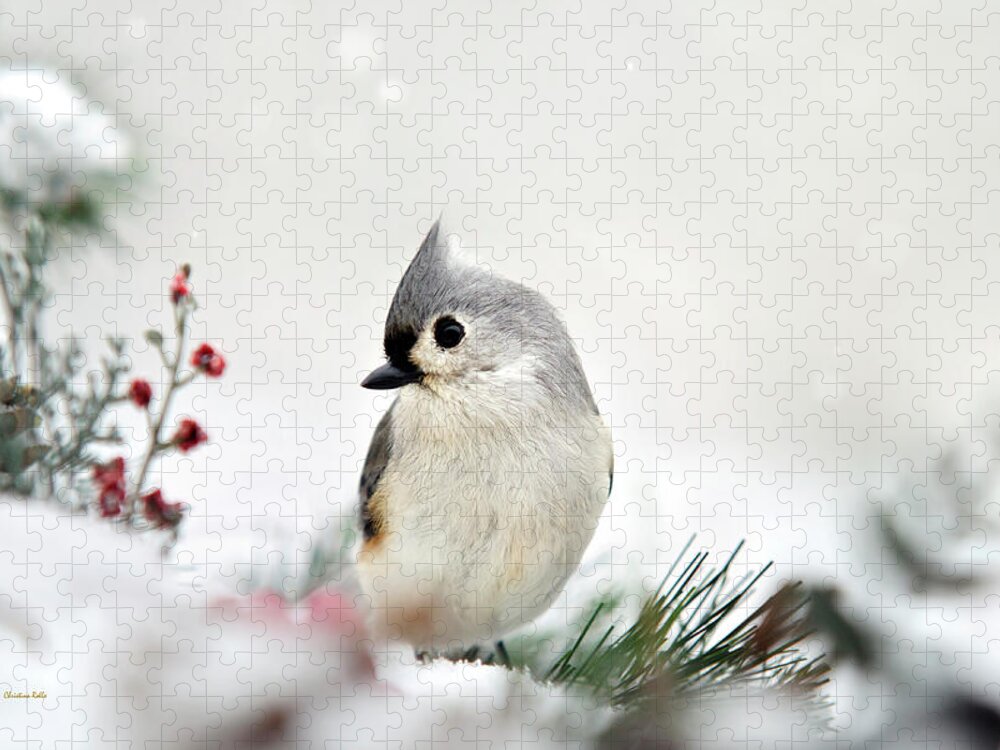 Birds Jigsaw Puzzle featuring the photograph Snow White Tufted Titmouse by Christina Rollo