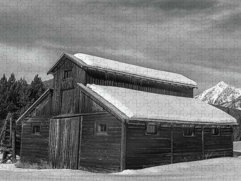 Barn Jigsaw Puzzle featuring the photograph Snowed In by Chuck Rasco Photography