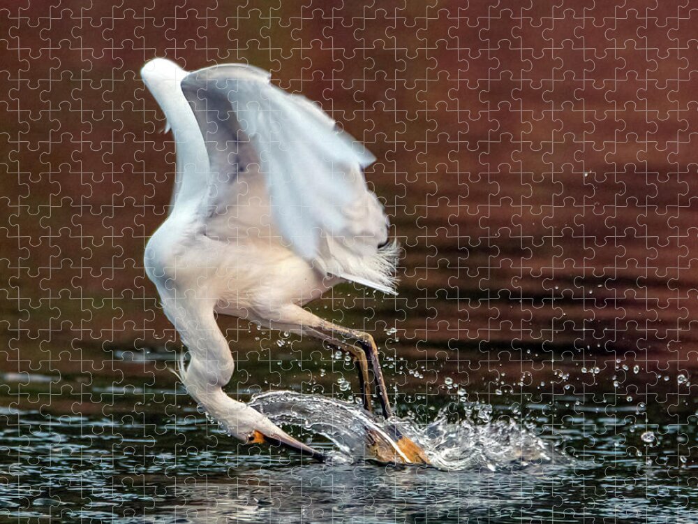 Snowy Egret Jigsaw Puzzle featuring the photograph Snowy Egret 0347-062921-2 by Tam Ryan