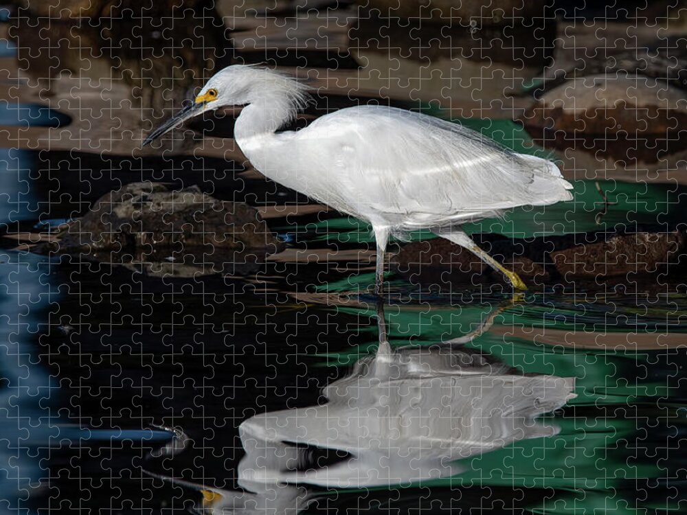 Snowy Egret Jigsaw Puzzle featuring the photograph Snowy Egret 2 by Rick Mosher