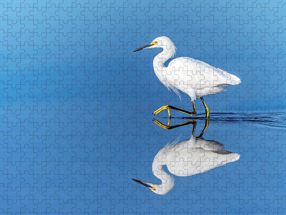 Snowy Egret Jigsaw Puzzle featuring the photograph Snowy Egret 7790-100721-2 by Tam Ryan