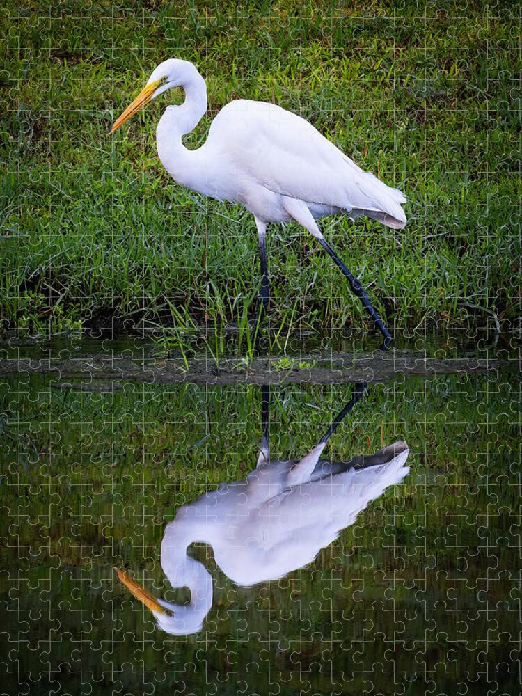Birds Jigsaw Puzzle featuring the photograph Snowy Egret by Larry Marshall