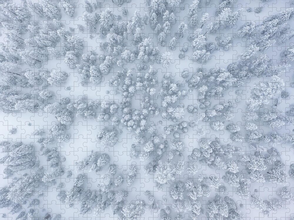 Aerial Jigsaw Puzzle featuring the photograph Snowy Forest by Steve Berkley