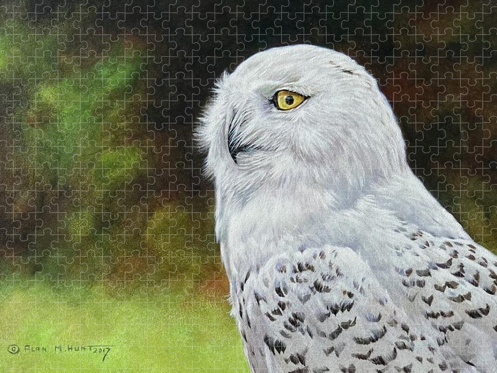 Snowy Owl Jigsaw Puzzle featuring the painting Snowy Owl Study by Alan M Hunt