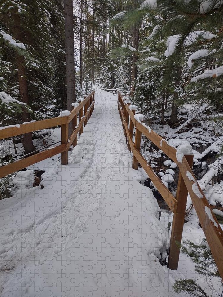 Landscape Jigsaw Puzzle featuring the photograph Snowy pathway by Erin Mitchell