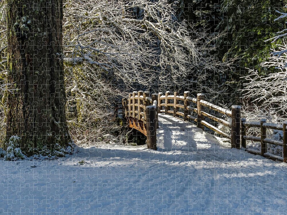 Silver Falls State Park Jigsaw Puzzle featuring the photograph Snowy by Ulrich Burkhalter
