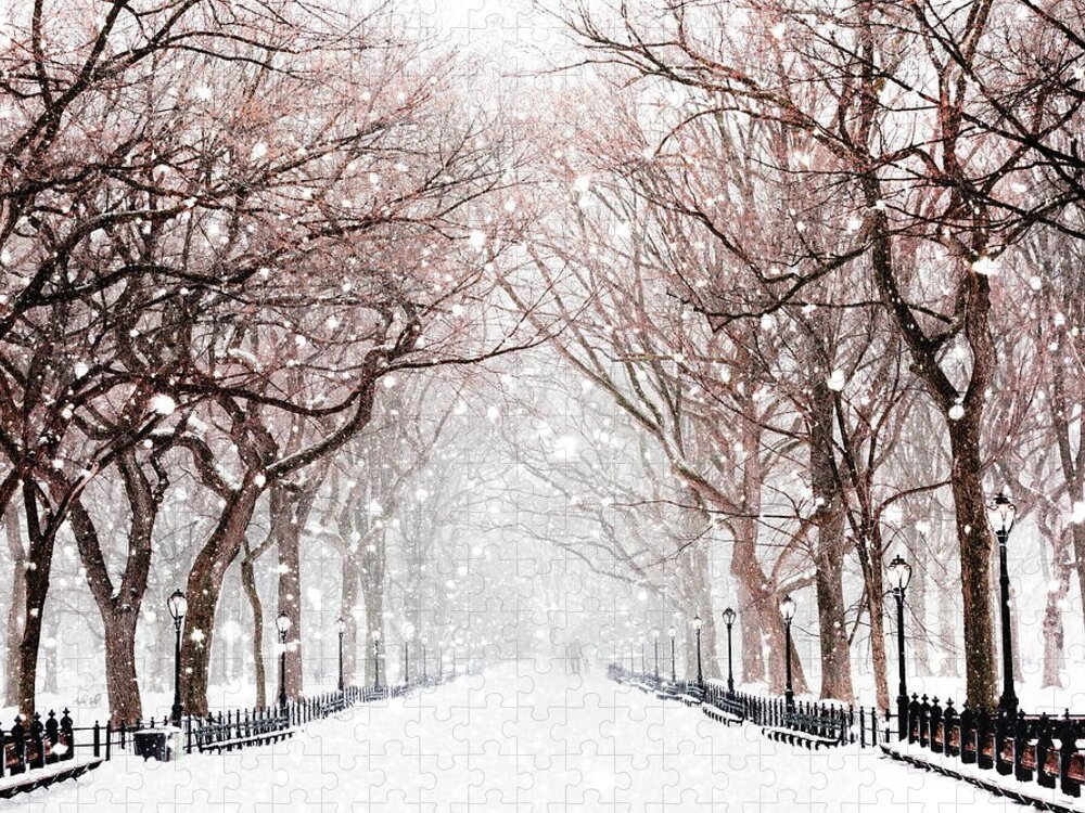 Snow Jigsaw Puzzle featuring the photograph Snowy Walk by Andrea Kollo