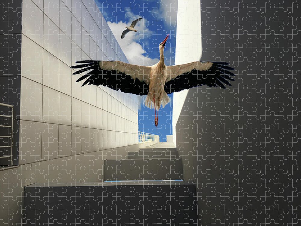 Surreal Jigsaw Puzzle featuring the photograph Soaring by Harry Spitz