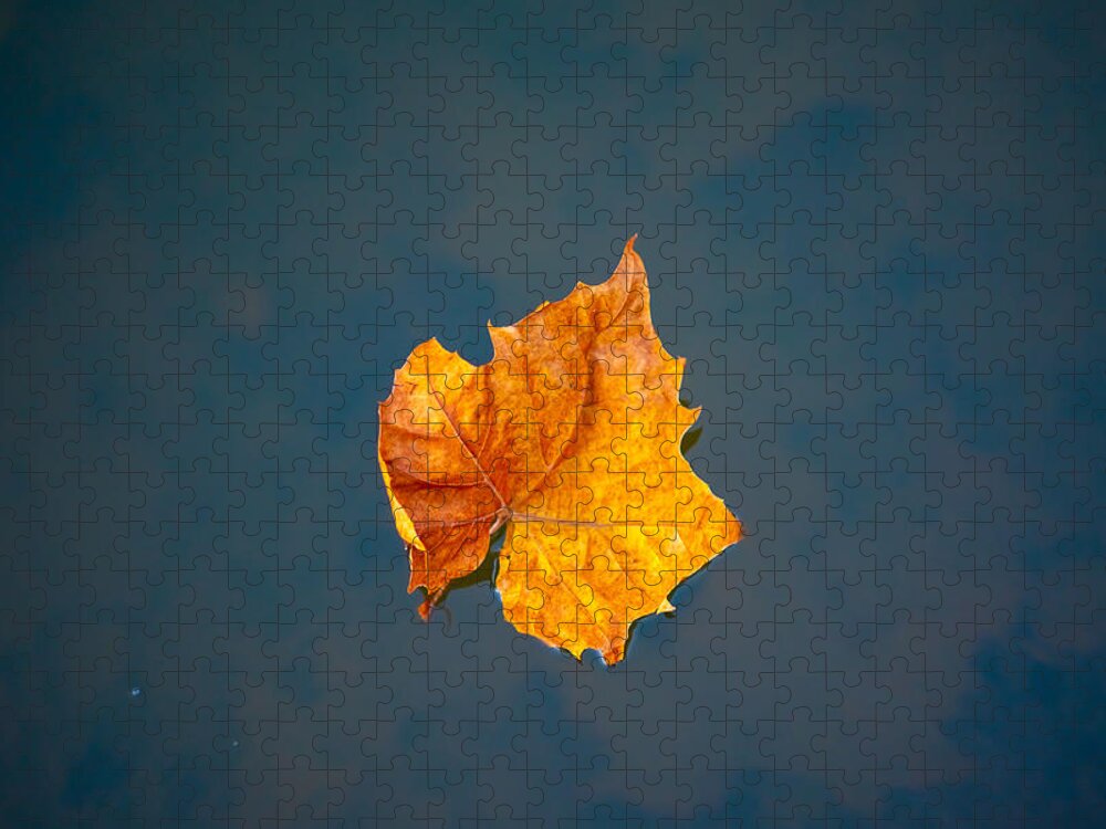 Photo Jigsaw Puzzle featuring the photograph Solitary Leaf on Water by Evan Foster