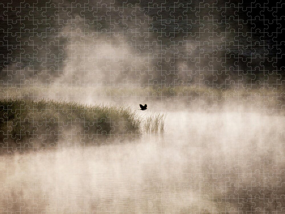 Solo Bird Jigsaw Puzzle featuring the photograph Solo bird, morning mist by Donald Kinney