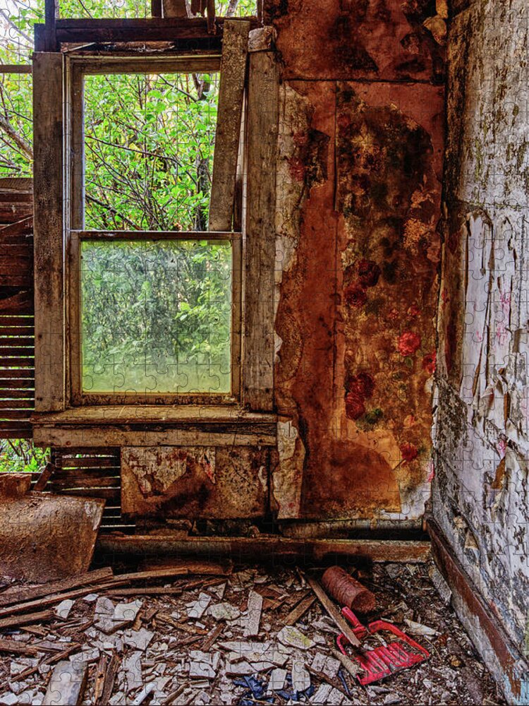 Groff Jigsaw Puzzle featuring the photograph Some Cleaning Required #2 of 2- abandoned farm homestead in Benson County ND by Peter Herman