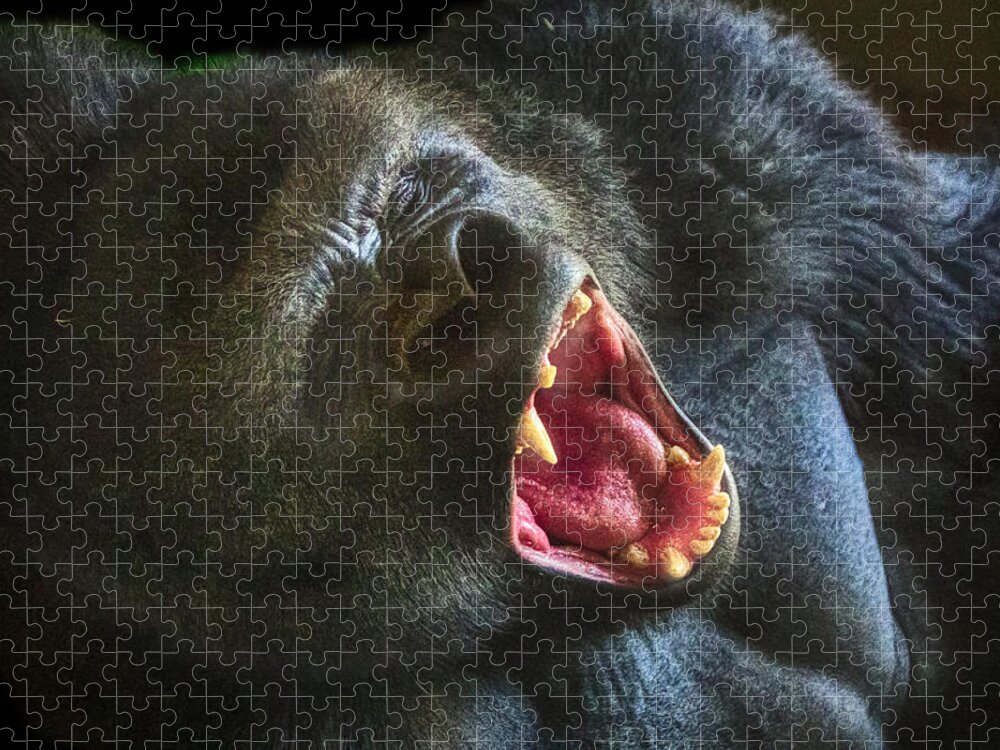 Gorilla Jigsaw Puzzle featuring the photograph Something I said? by Jim Signorelli