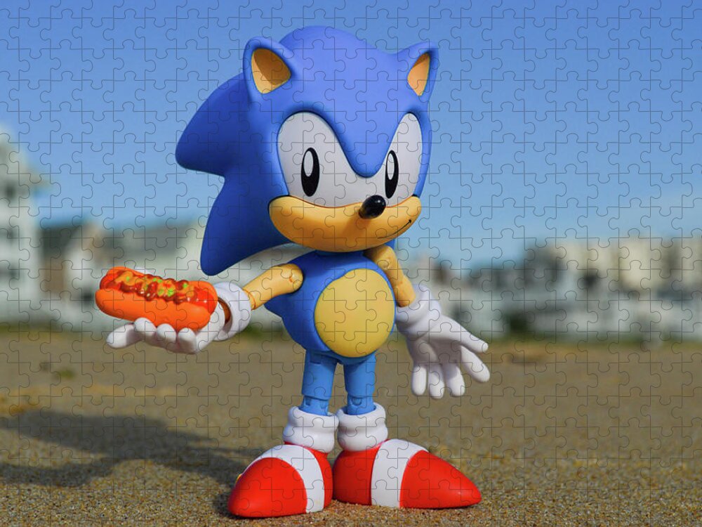 Sonic at the Beach Jigsaw Puzzle