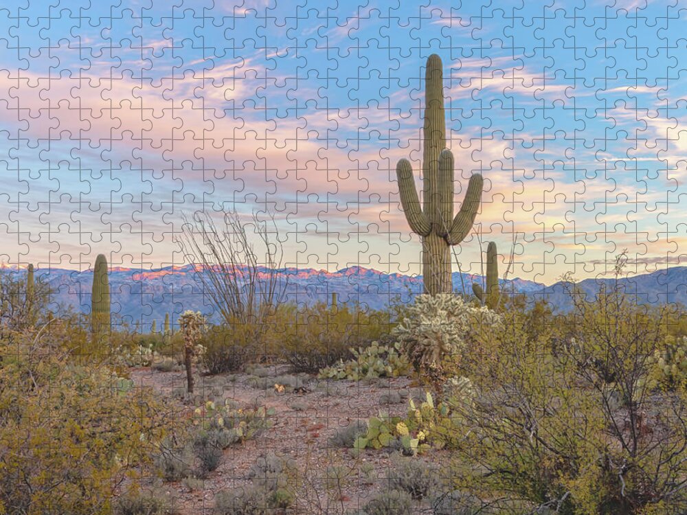 American Southwest Jigsaw Puzzle featuring the photograph Sonoran Morning by Jonathan Nguyen