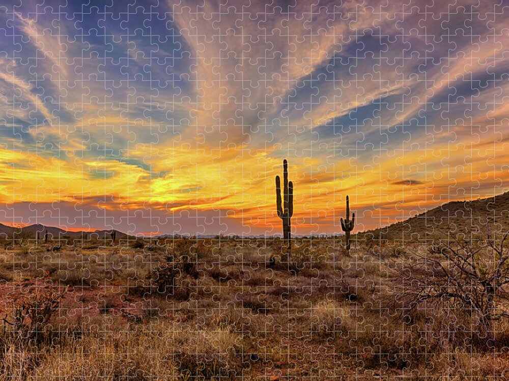 Sonoran Jigsaw Puzzle featuring the photograph Sonoran Sunset by Bob Falcone