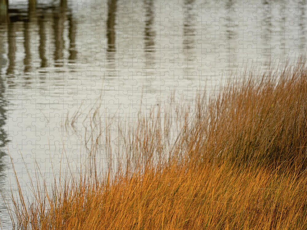 Marsh Jigsaw Puzzle featuring the photograph Sound Reflections by Joni Eskridge