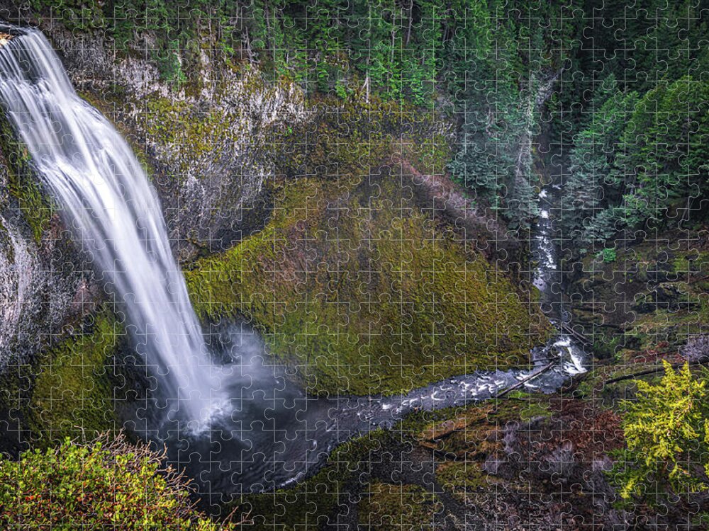 Forest Jigsaw Puzzle featuring the photograph Source by Ryan Weddle