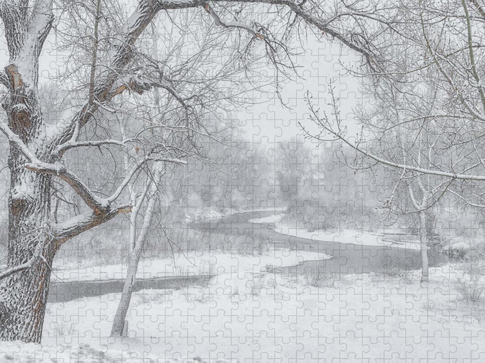 Snow Jigsaw Puzzle featuring the photograph South Platte Snow by Darren White