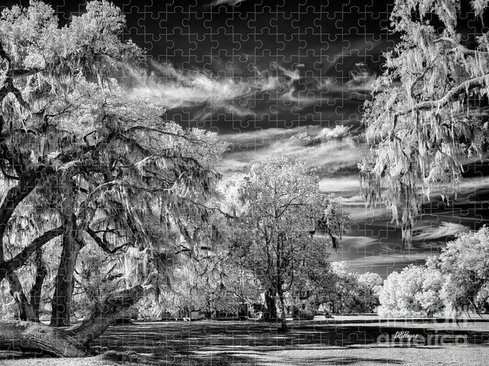 Black & White Jigsaw Puzzle featuring the photograph Southern Charm by DBHayes by DB Hayes
