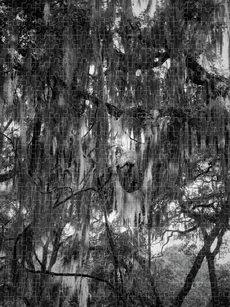 Georgia Jigsaw Puzzle featuring the photograph Spanish Moss and Live Oaks, St. Simons Island by John Simmons