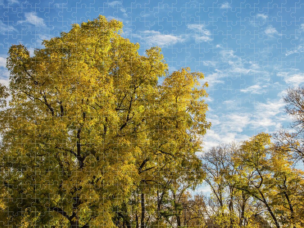 Fall Jigsaw Puzzle featuring the photograph Splendid Autumn Morning by Steve Sullivan