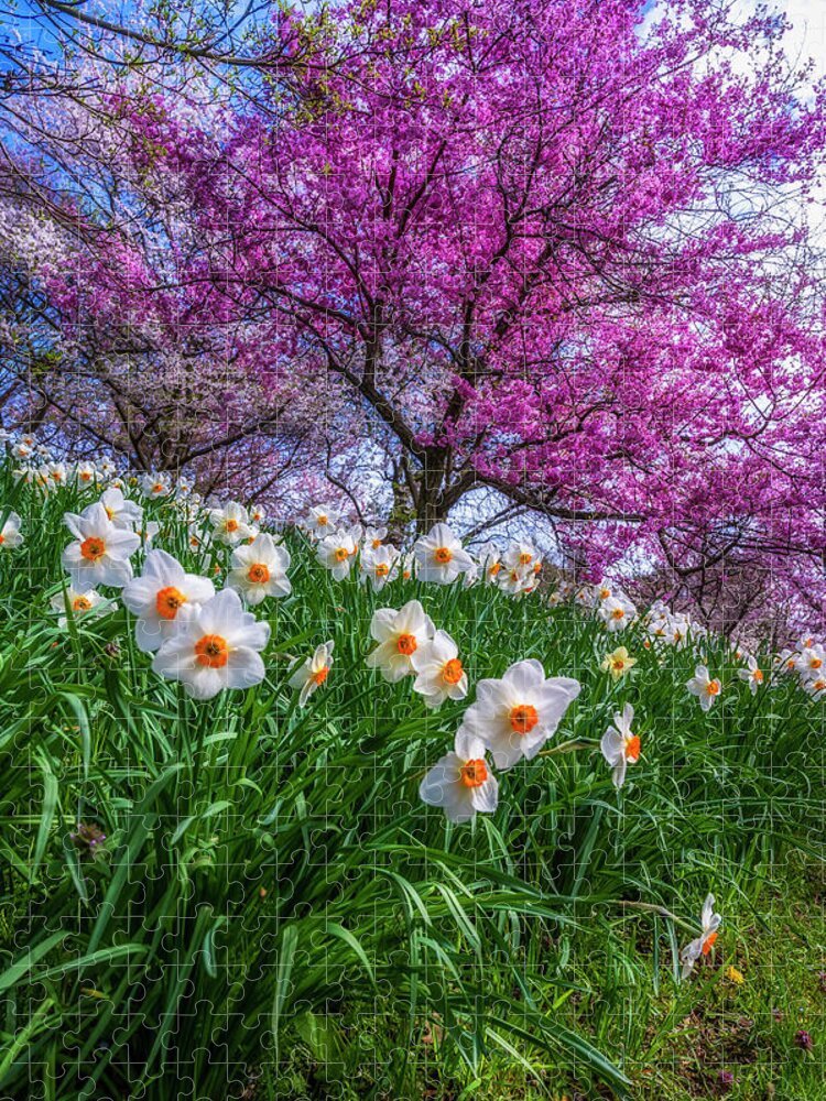 Highland Park Jigsaw Puzzle featuring the photograph Spring At Highland Park by Mark Papke