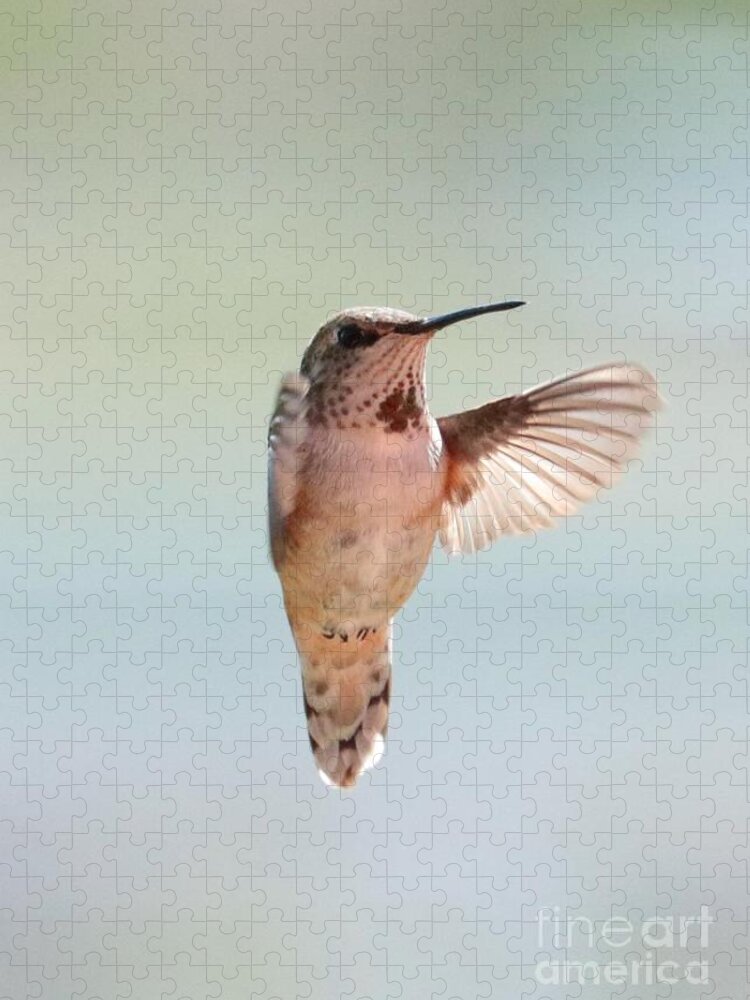 Hummingbird Jigsaw Puzzle featuring the photograph Spring Hug Hummingbird by Carol Groenen