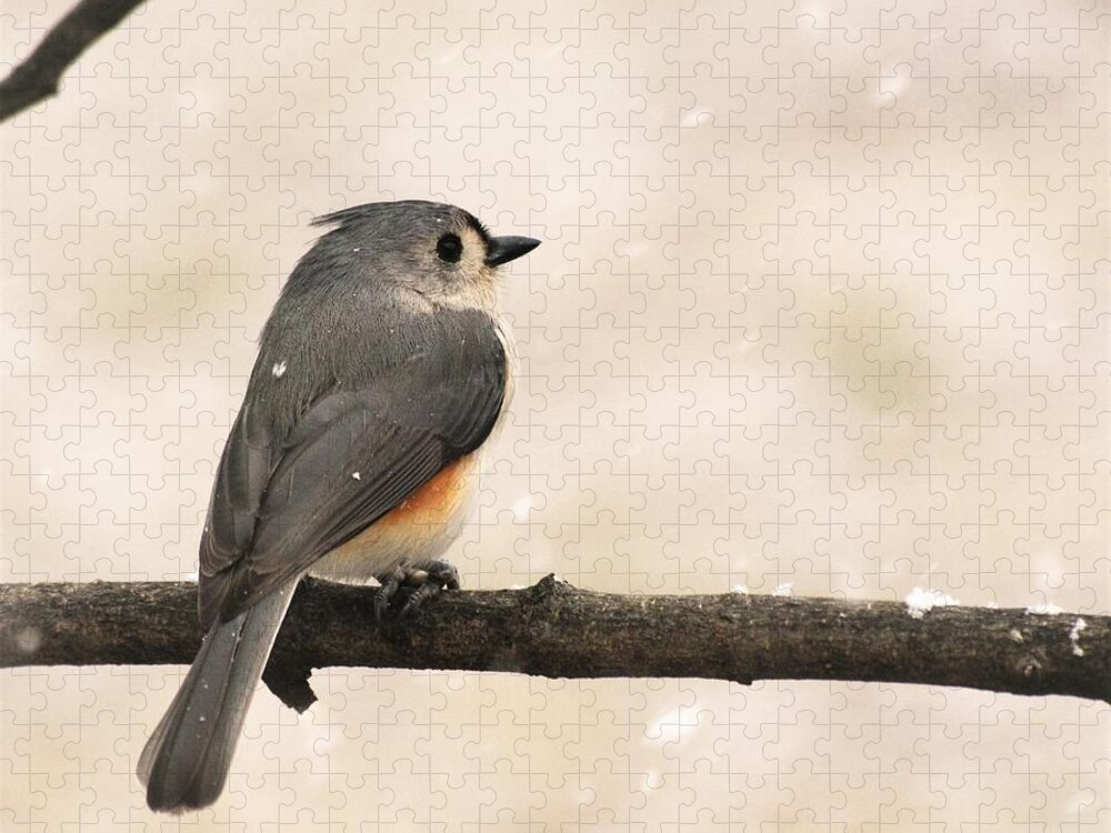- Spring Snow - Tufted Titmouse Jigsaw Puzzle featuring the photograph - Spring Snow - Tufted Titmouse by THERESA Nye