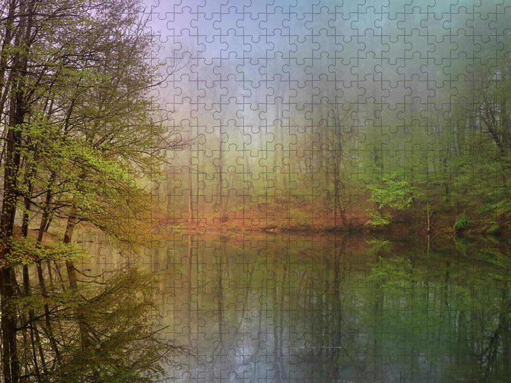  Jigsaw Puzzle featuring the photograph Spring Stillness by Rob Blair