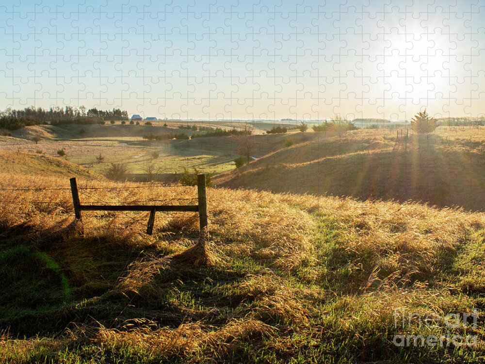 Spring Sun Jigsaw Puzzle featuring the photograph Spring Sun by Troy Stapek
