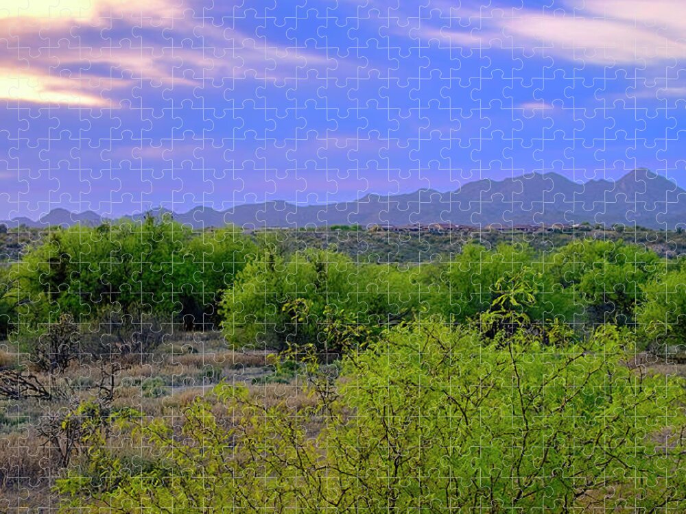 Arizona Jigsaw Puzzle featuring the photograph Spring Valley View 25090 by Mark Myhaver