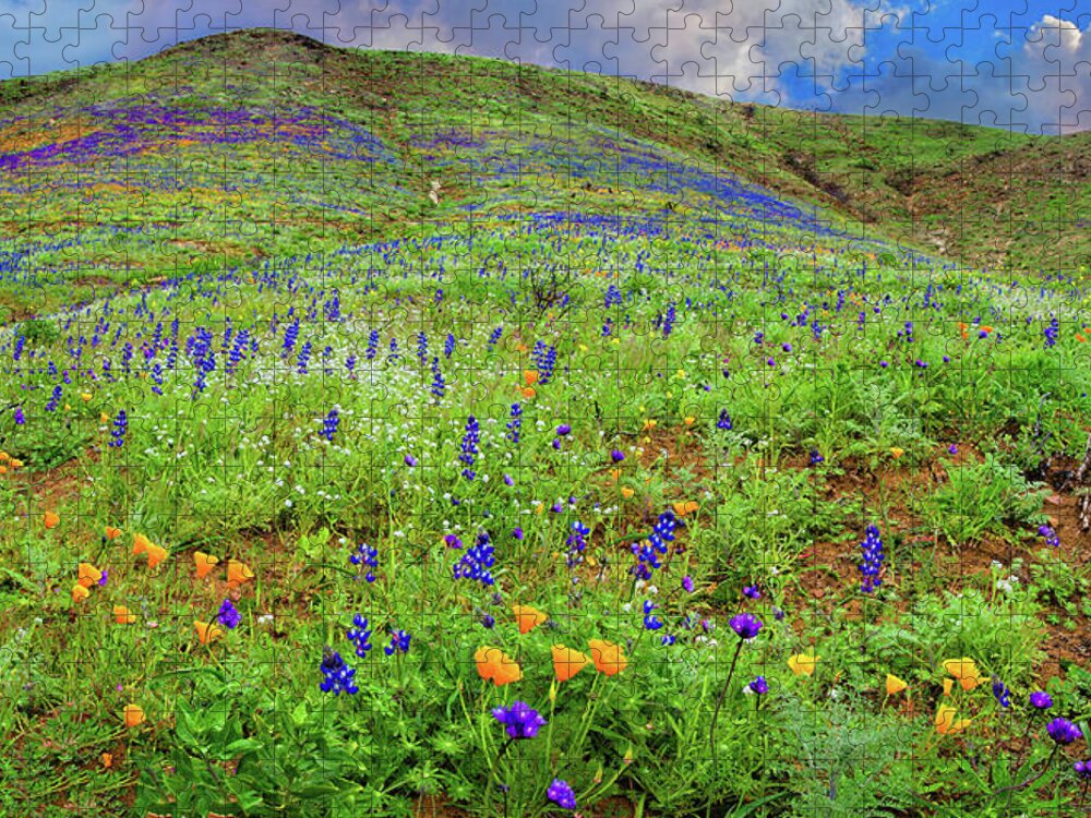 California Wildflowers Jigsaw Puzzle featuring the photograph Spring Wonders in Malibu Panorama by Lynn Bauer