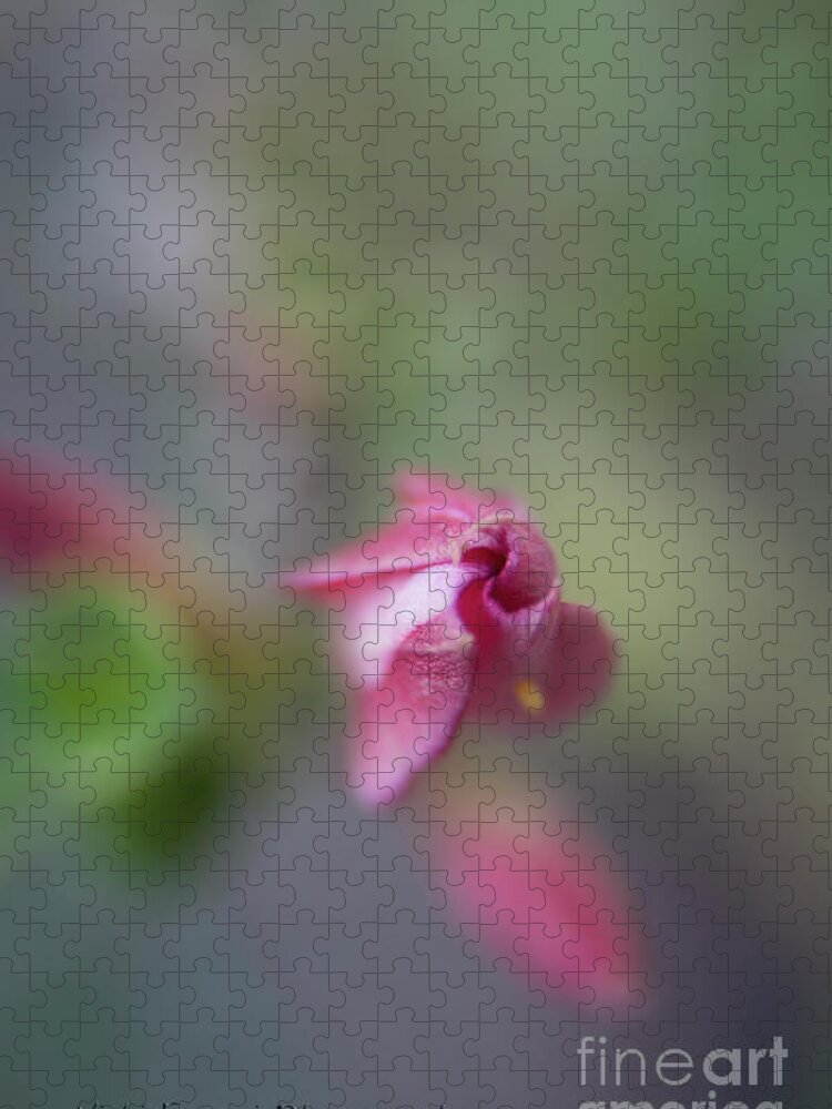 Desert Rose Jigsaw Puzzle featuring the photograph Springing Desert Rose by Vicki Ferrari