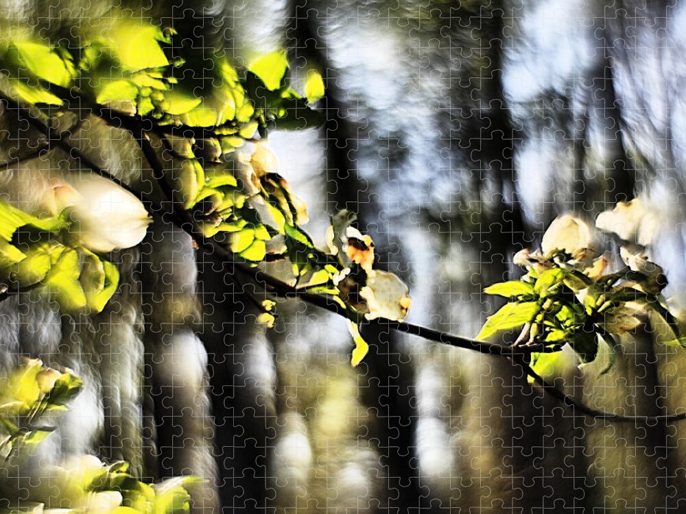 Impression Jigsaw Puzzle featuring the photograph Dogwood Blossoms by a Forest - A Springtime Impression by Steve Ember