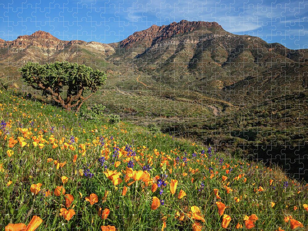Arizona Jigsaw Puzzle featuring the photograph Springtime in the Desert Southwest by Rick Furmanek