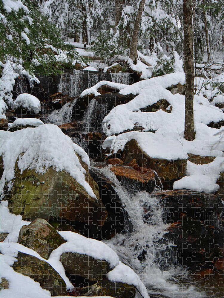 Spruce Peak Falls Jigsaw Puzzle featuring the photograph Spruce Peak Falls 5 by Raymond Salani III