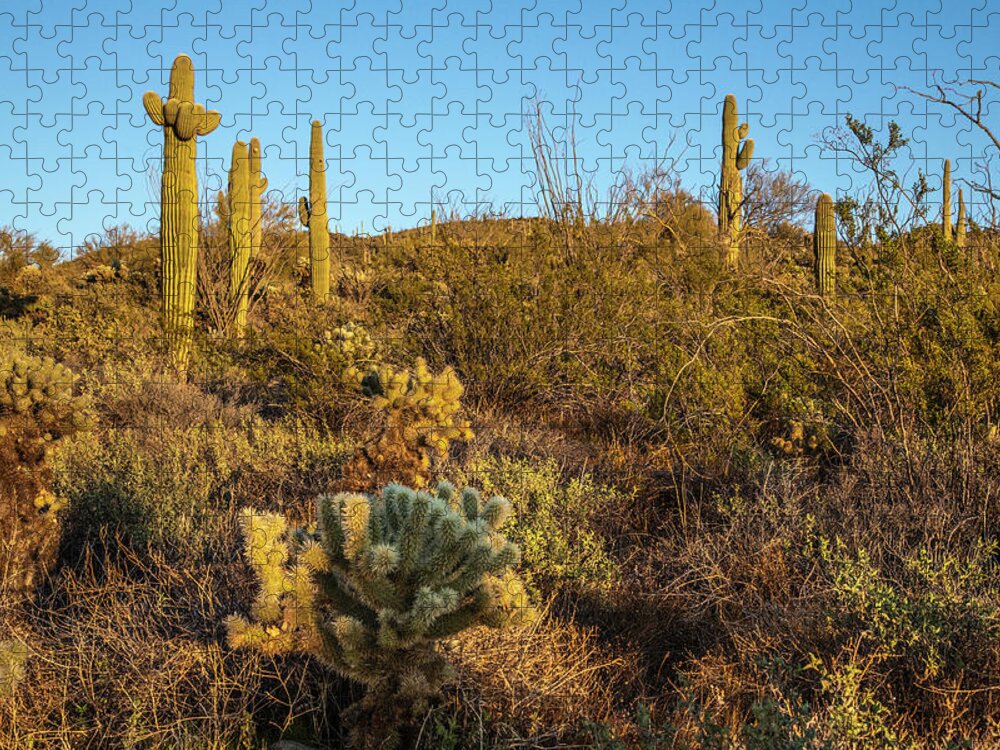 Spur Cross Jigsaw Puzzle featuring the photograph Spur Cross Trail by Lorraine Baum