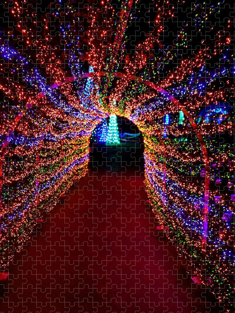 St Louis Jigsaw Puzzle featuring the photograph St Louis Botanical Gardens Christmas Lights Study 7 by Robert Meyers-Lussier