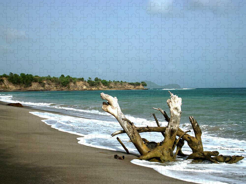 St. Lucia Jigsaw Puzzle featuring the photograph St. Lucia Driftwood on Beach by Flinn Hackett