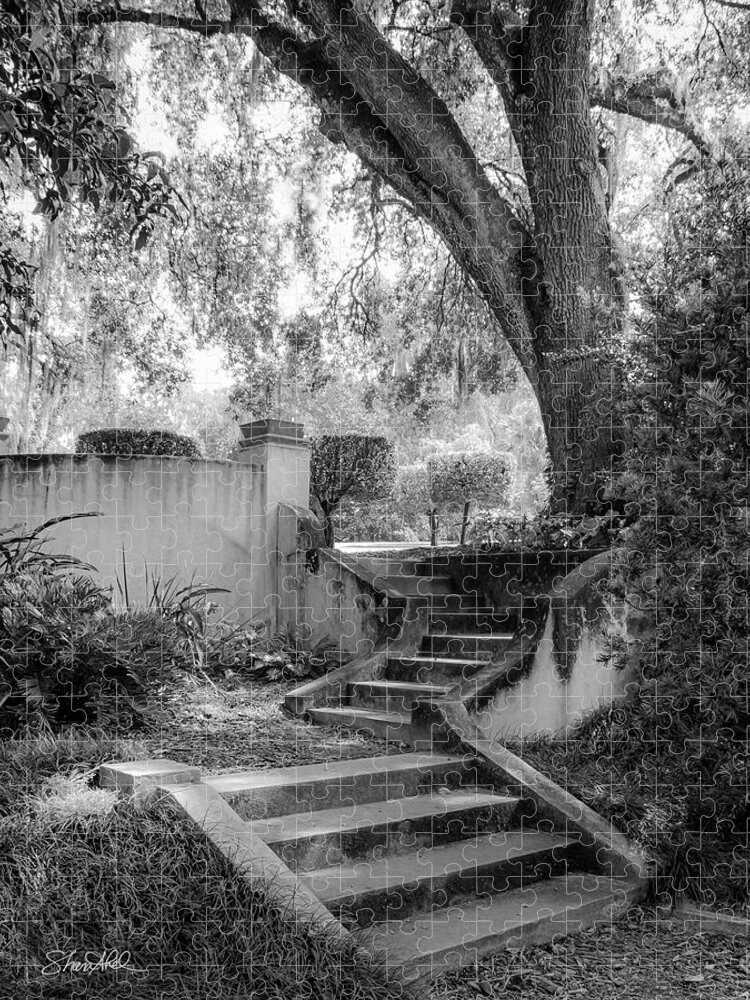 Black And White Jigsaw Puzzle featuring the photograph Stairway to Heaven by Shara Abel