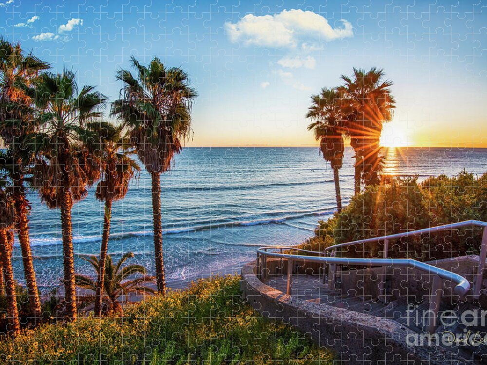 Beach Jigsaw Puzzle featuring the photograph Stairway to Swami's Beach by David Levin