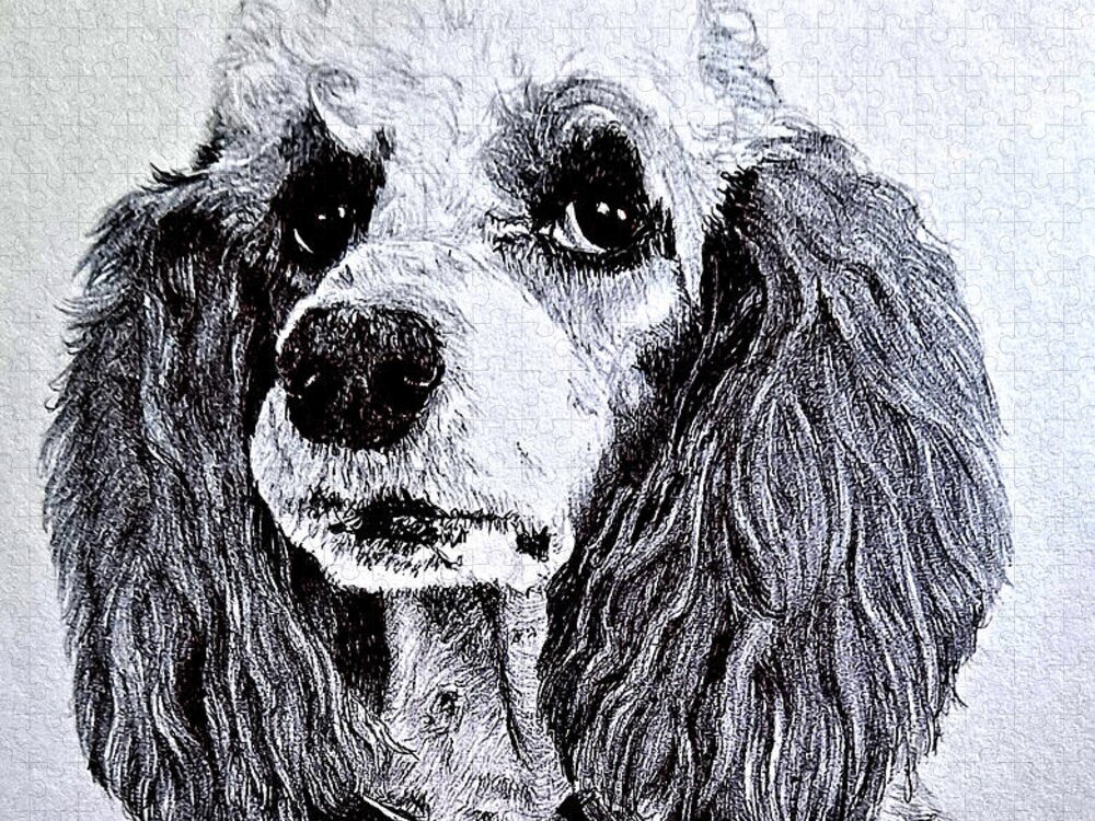Dog Jigsaw Puzzle featuring the drawing Standard Parti Poodle 2 by Terri Mills