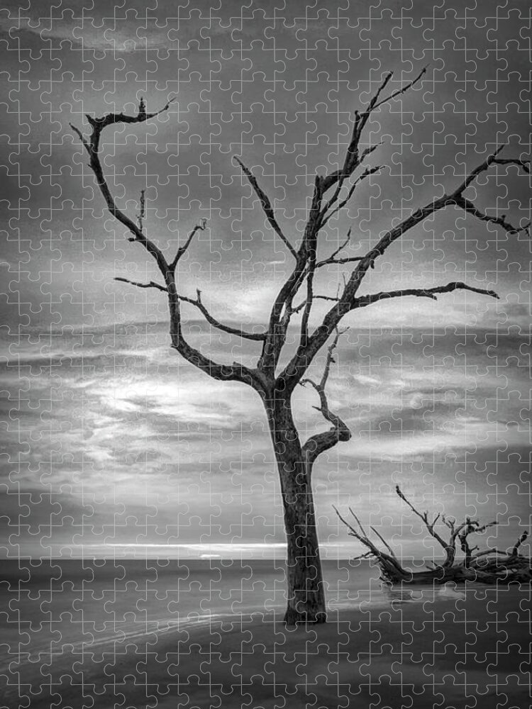 Clouds Jigsaw Puzzle featuring the photograph Standing Alone on Jekyll Island Driftwood Beach Black and White by Debra and Dave Vanderlaan