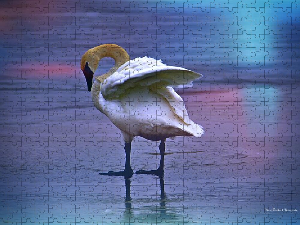 Swan Jigsaw Puzzle featuring the photograph Standing on Thin Ice by Mary Walchuck