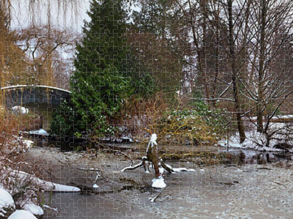 617 Jigsaw Puzzle featuring the photograph Stanley Park in Winter Vancouver by Sonny Ryse