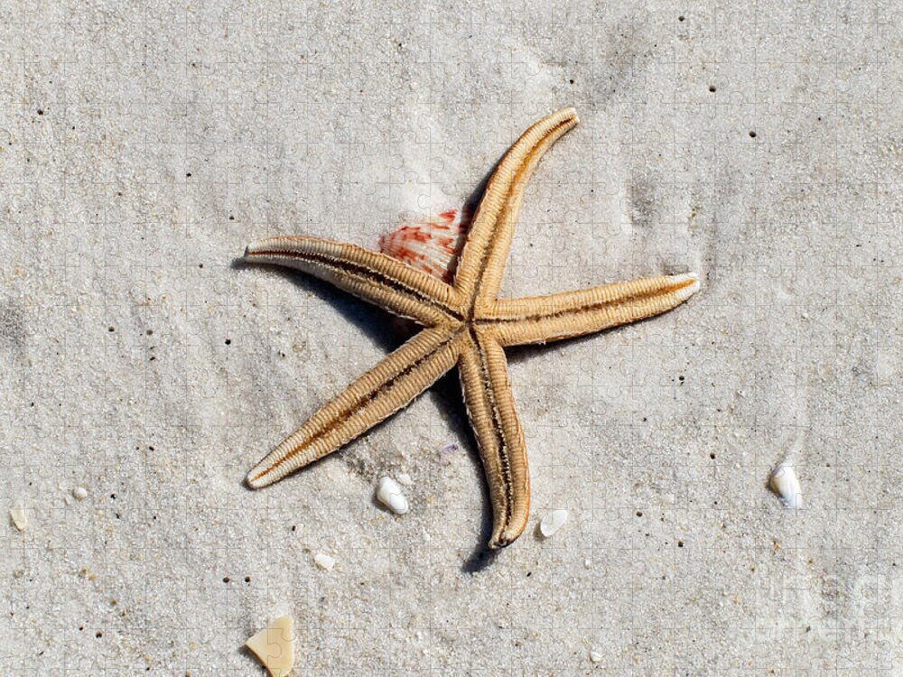 Star Jigsaw Puzzle featuring the photograph Starfish on the Beach by Beachtown Views
